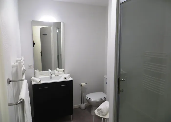 Pratique, Complet Sur, Metro Et Parking; Proche Du Centre, De La Gare, De La Rocade, D'un Supermarche. A Pied. Tuluza